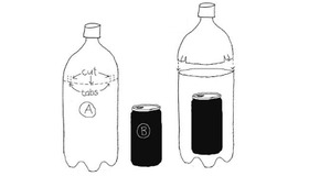 Challenge Image