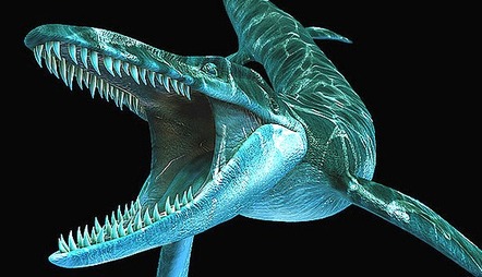 Challenge Image