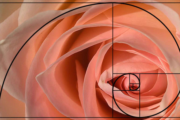 Challenge Image