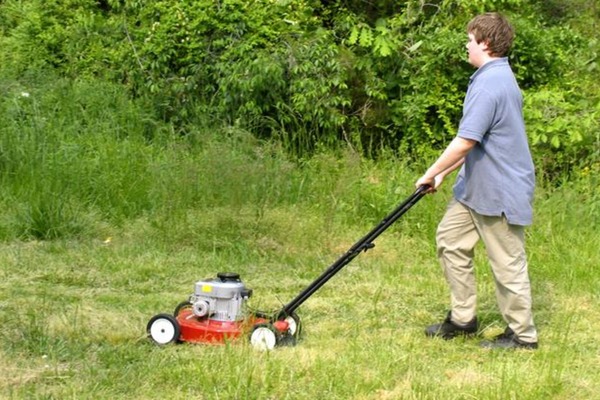 Challenge Image