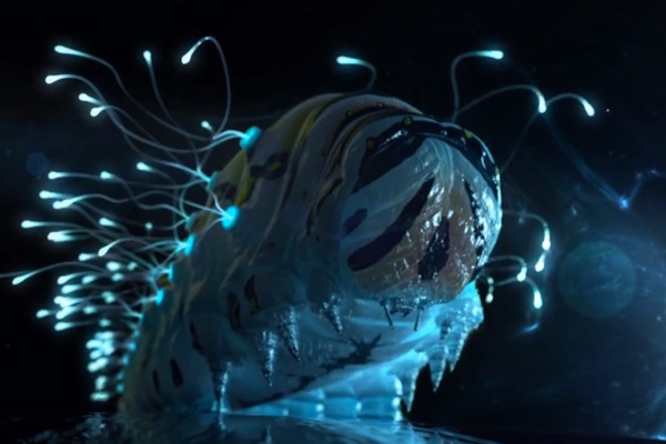 Challenge Image