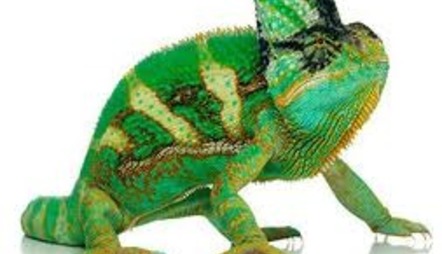 Challenge image