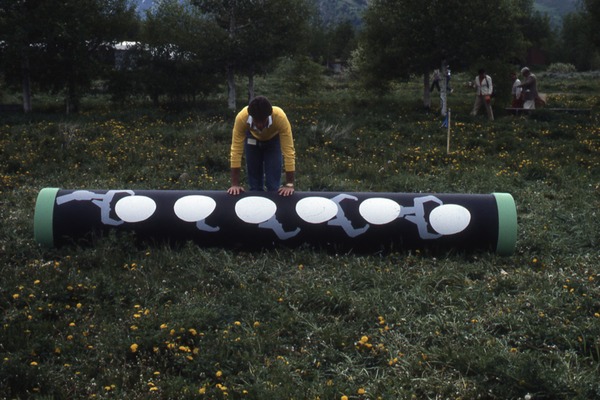 Challenge Image